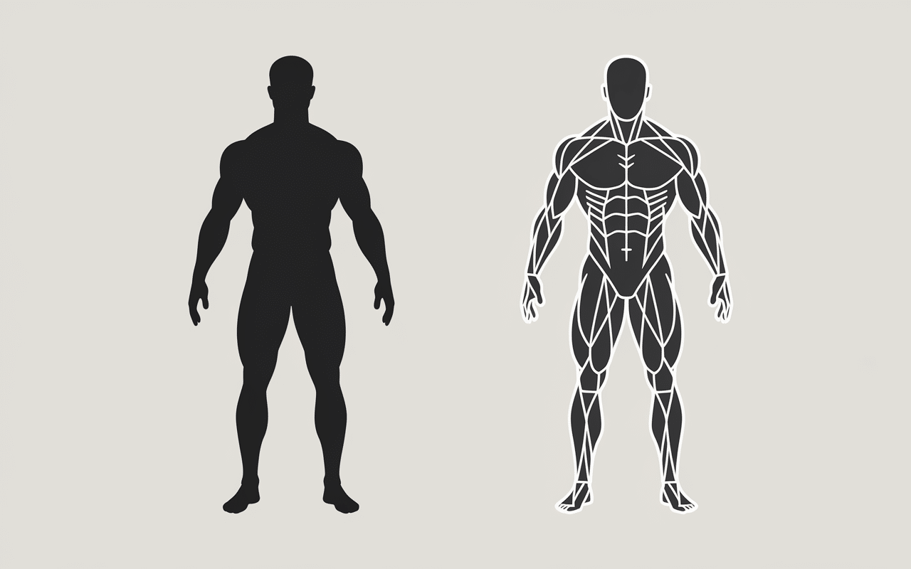 comment faire une seche differences masse grasse musculaire