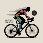 Illustration globale montrant velo elliptique quels muscles travaillent, haut et bas du corps