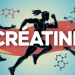 a quoi sert la creatine illustration energie athlètes molécules