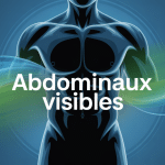 comment avoir des abdos en 1 jour illustration torse stylisé