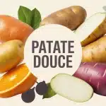 Illustration colorée de patate douce variétés avec cuisson saine