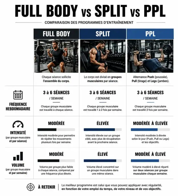 Infographie comparative des programmes de musculation Full Body, Split et PPL