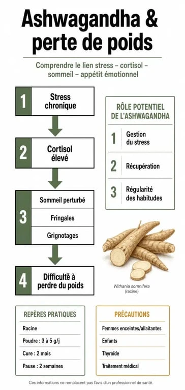 Ashwagandha perte de poids : schéma du lien stress-cortisol-sommeil-appétit et repères d’utilisation