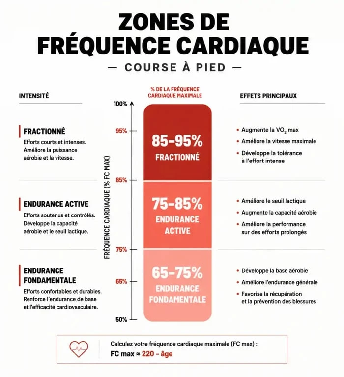 Infographie des zones de fréquence cardiaque pour l'endurance fondamentale en course à pied